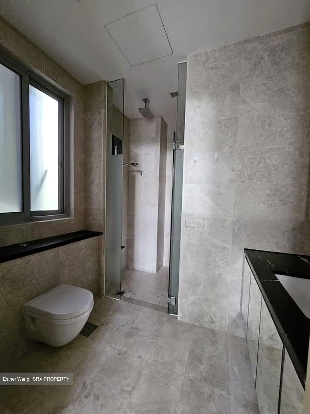 The Boutiq (D9), Apartment #529195021